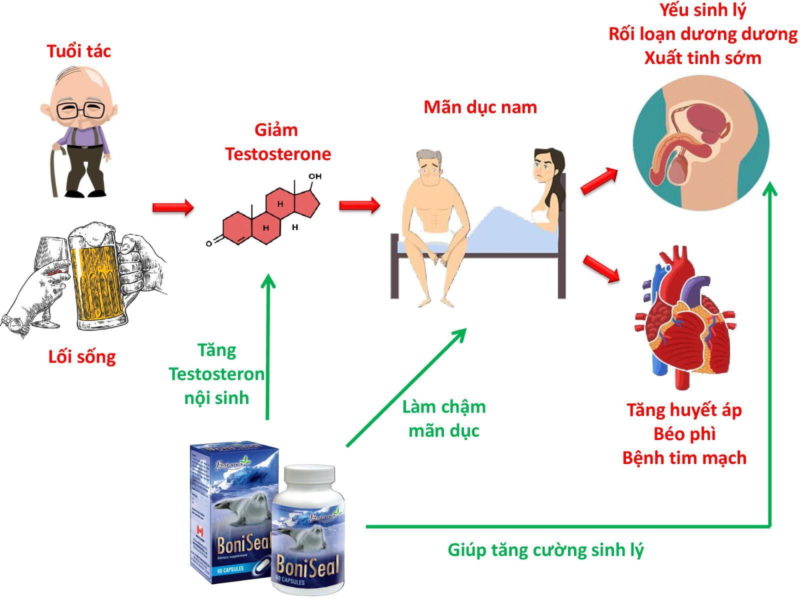 Cơ chế tác dụng của BoniSeal