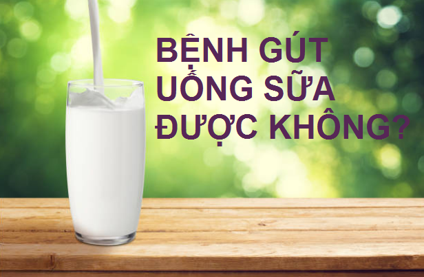 Bệnh gút uống sữa được không?