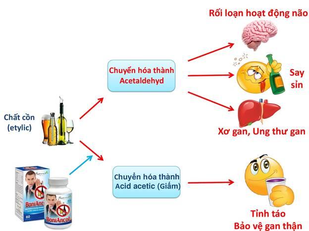 Công dụng BoniAncol