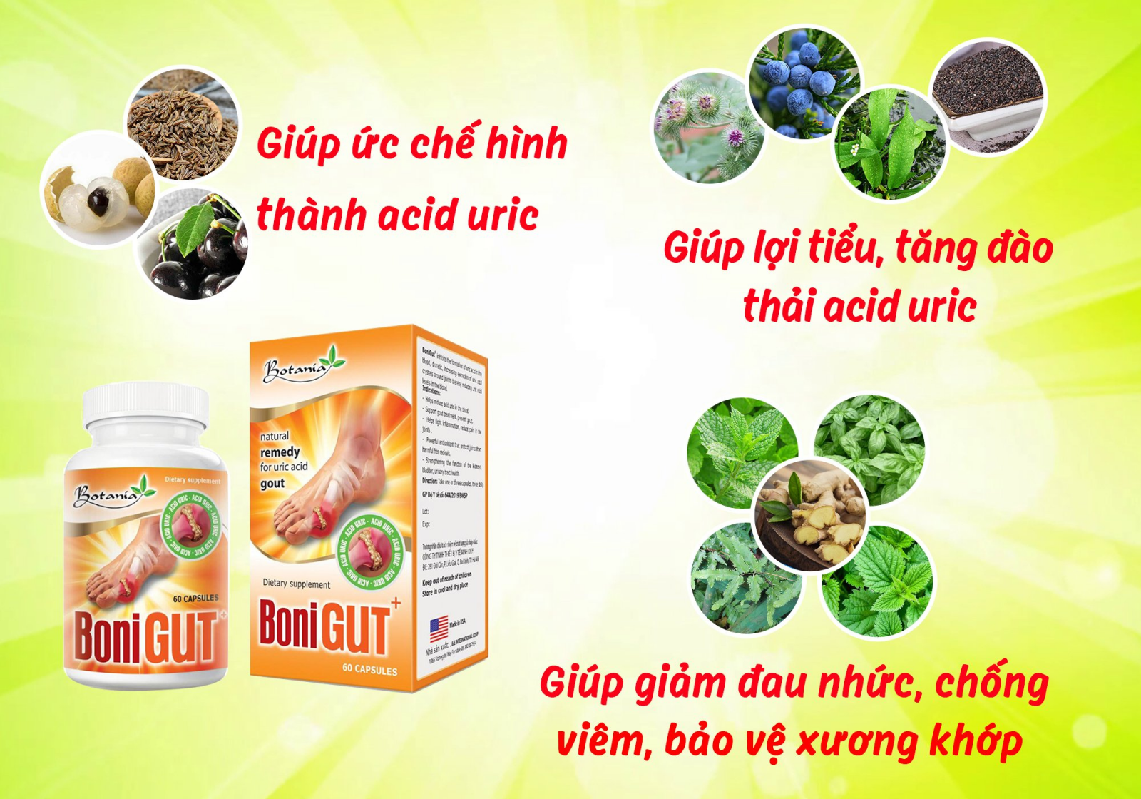 Công thức vượt trội của BoniGut +