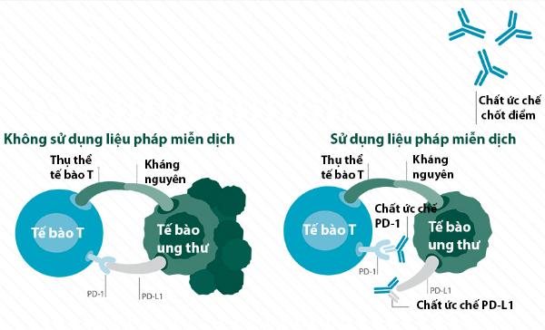 Triển vọng đẩy lùi ung thư nhờ liệu pháp miễn dịch