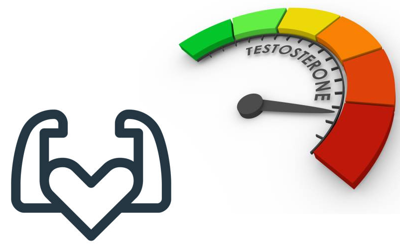 Kích thích cơ thể tăng Testosterone nội sinh là nguyên tắc vàng giúp cải thiện yếu sinh lý nam giới