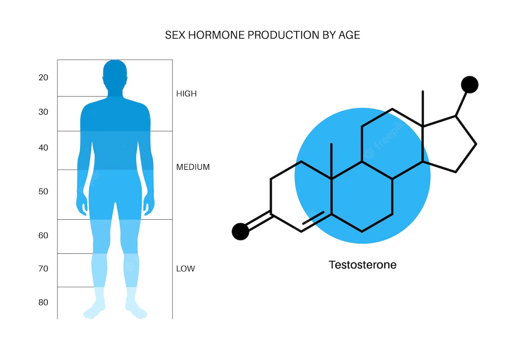 Nồng độ testosterone tự nhiên có xu hướng giảm theo độ tuổi