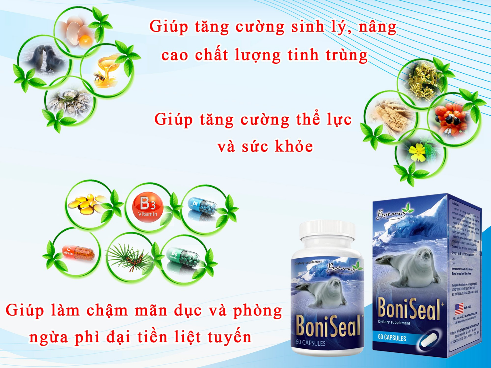 Tác dụng của BoniSeal +