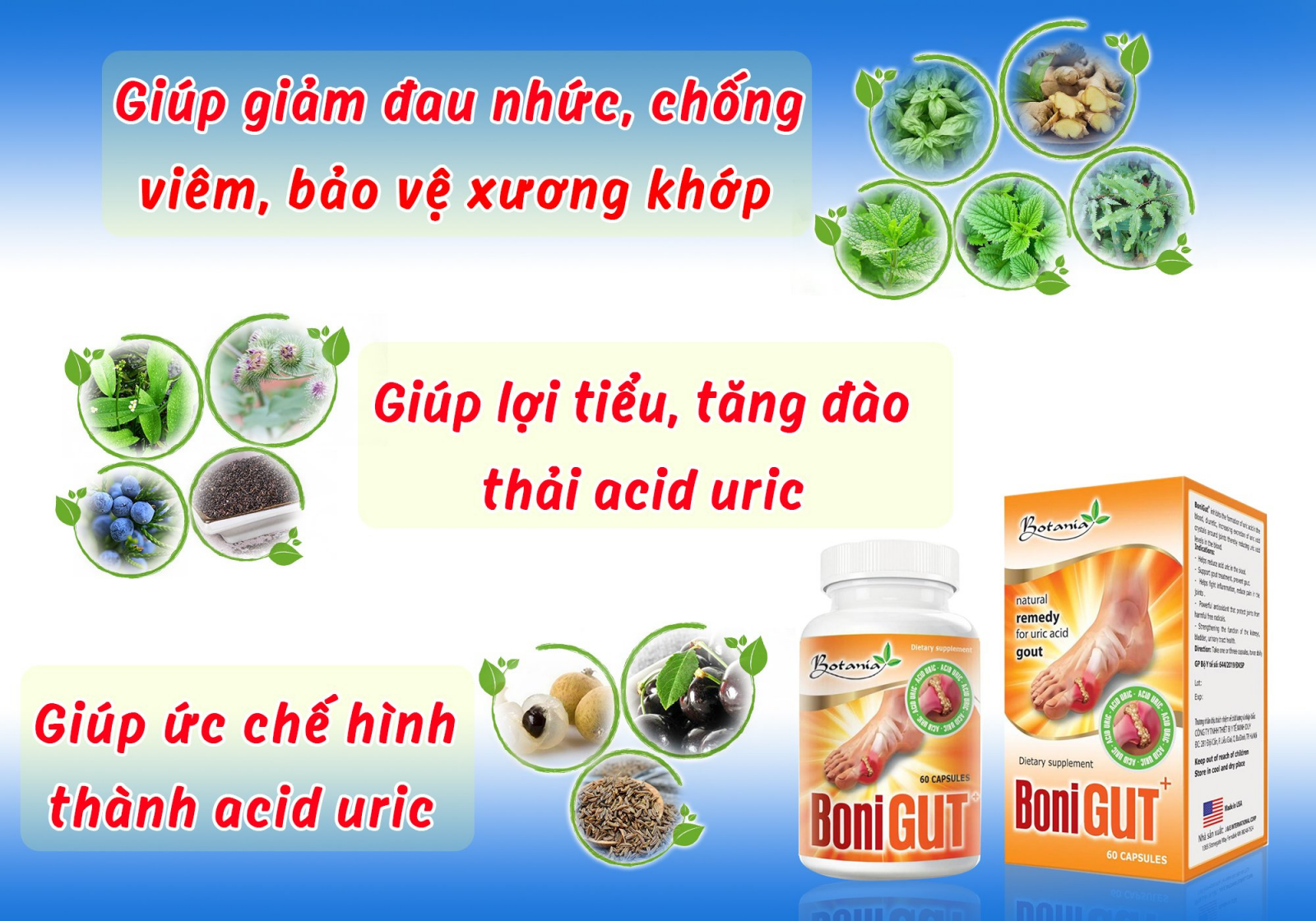 Thành phần ưu việt của BoniGut +