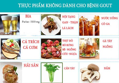 Thực phẩm không dành cho người bệnh gút