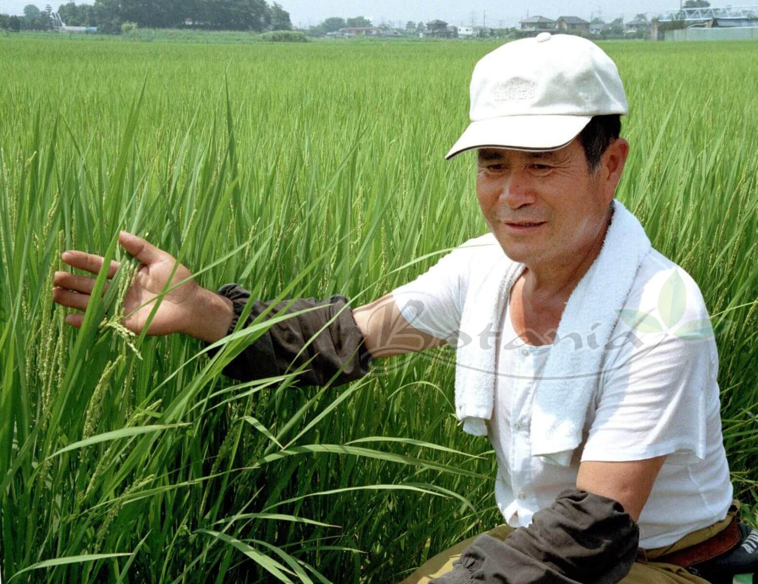 Ninh Bình: Nhờ BoniGut chú đã kết thúc chuỗi 10 năm đau đớn vì gút